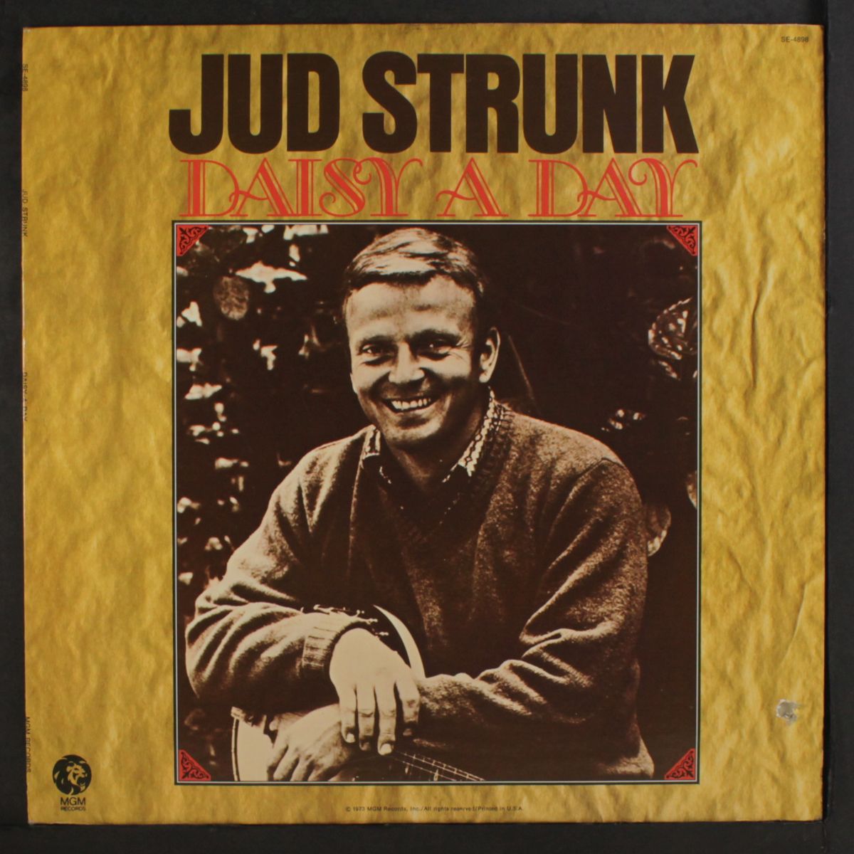 daisy a day by JUD STRUNK