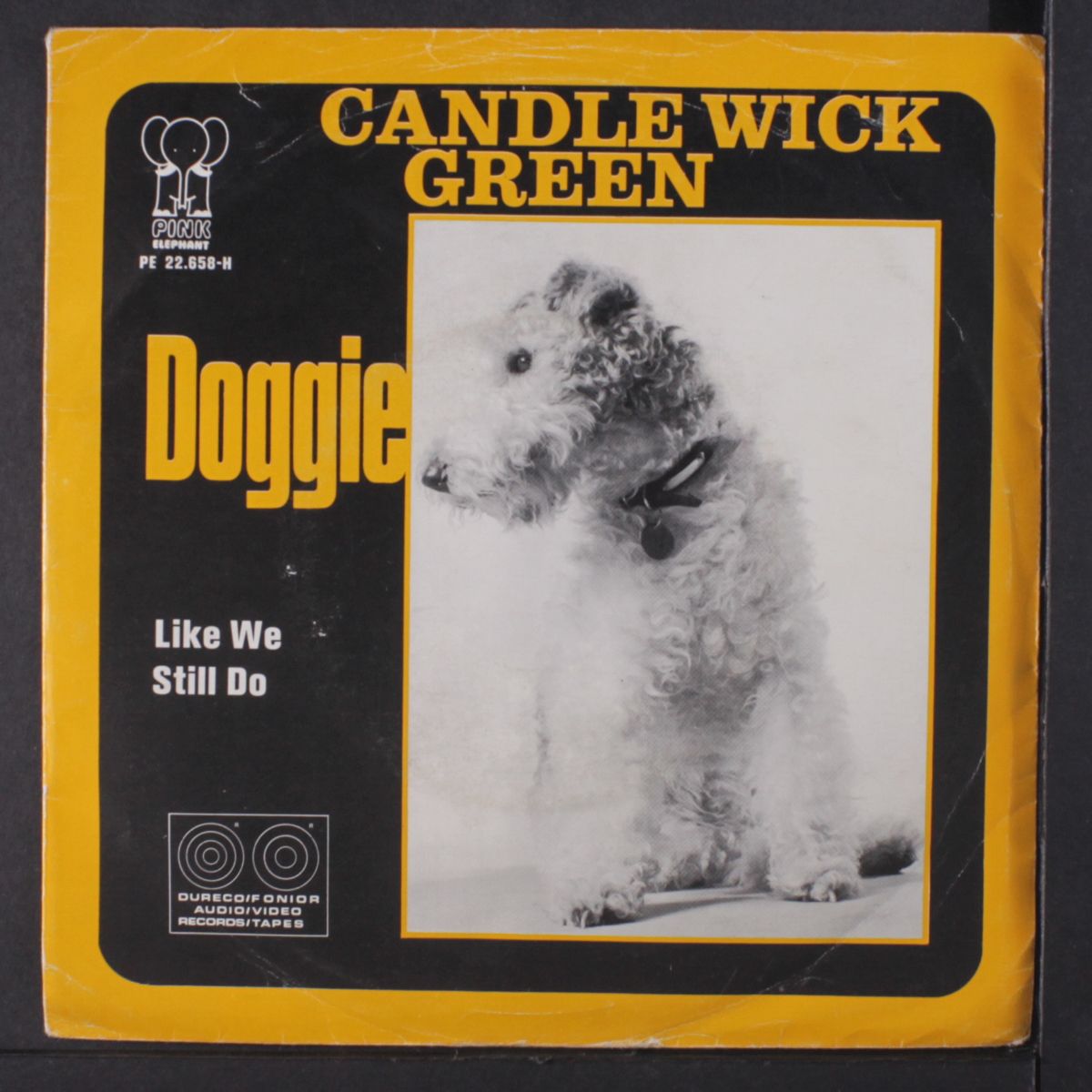 doggie / like we still do by CANDLEWICK GREEN