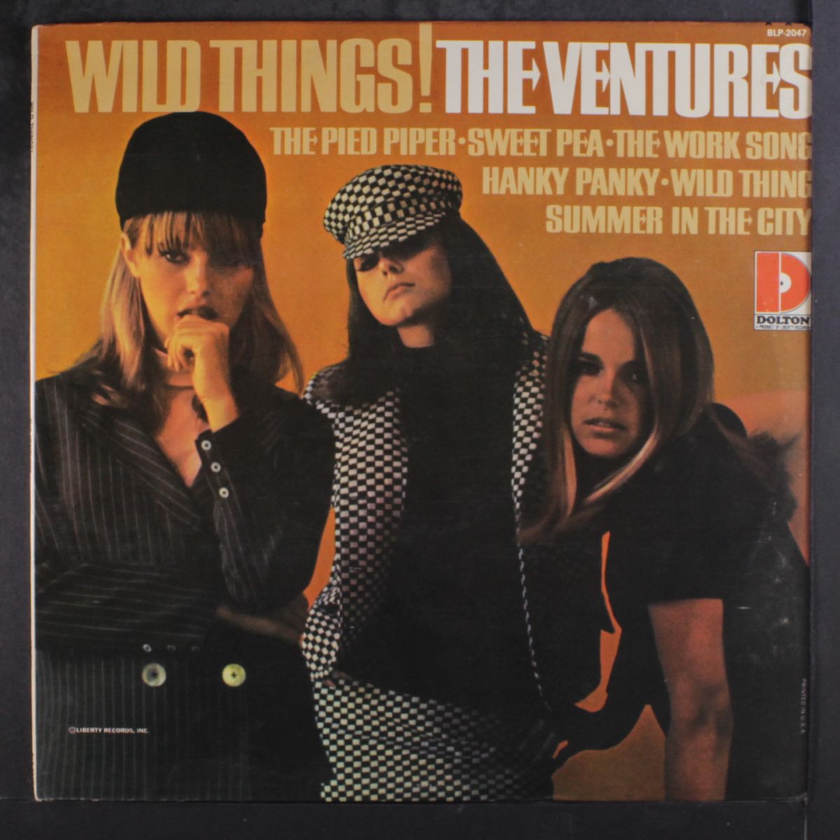 wild things! by VENTURES
