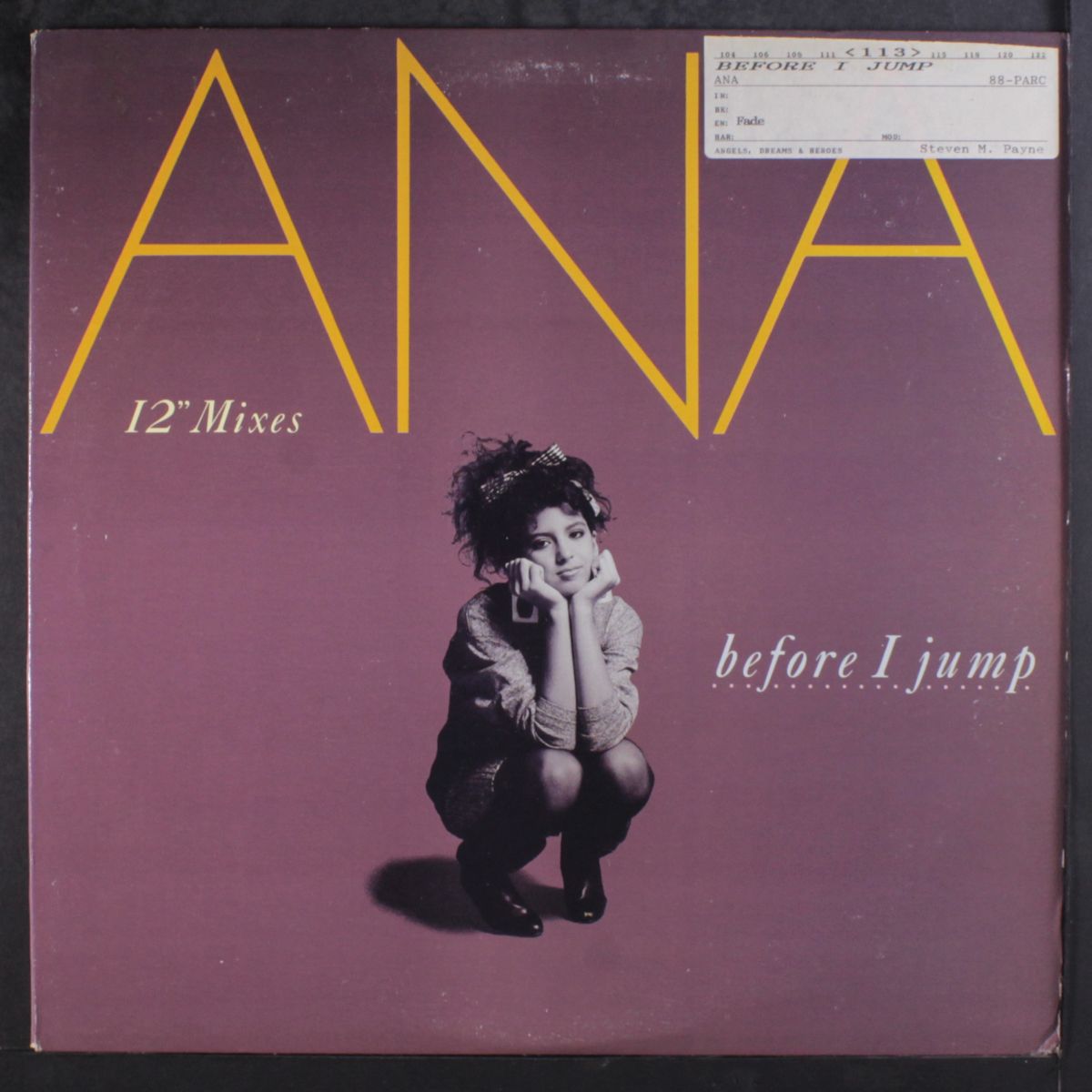 before i jump by ANA