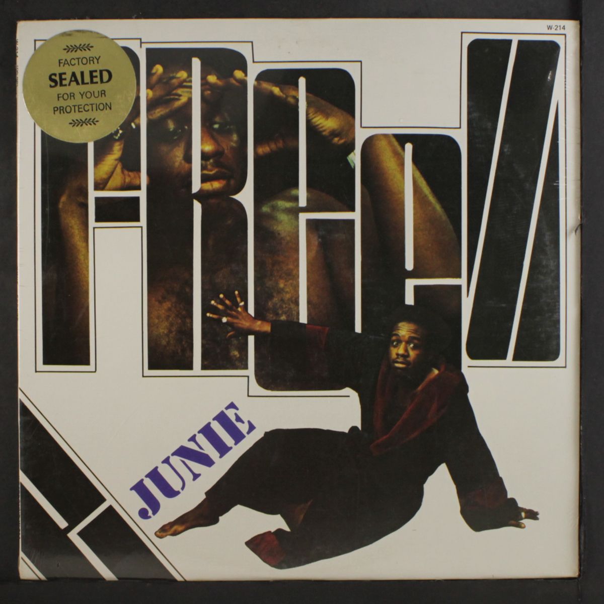 freeze by JUNIE