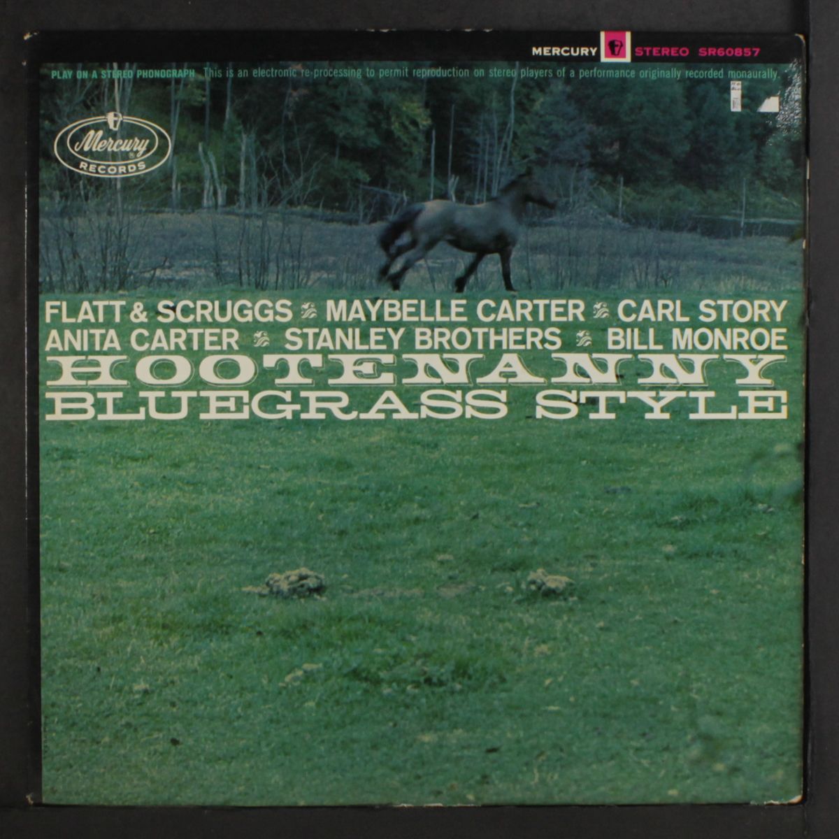 hootenanny bluegrass style by VARIOUS