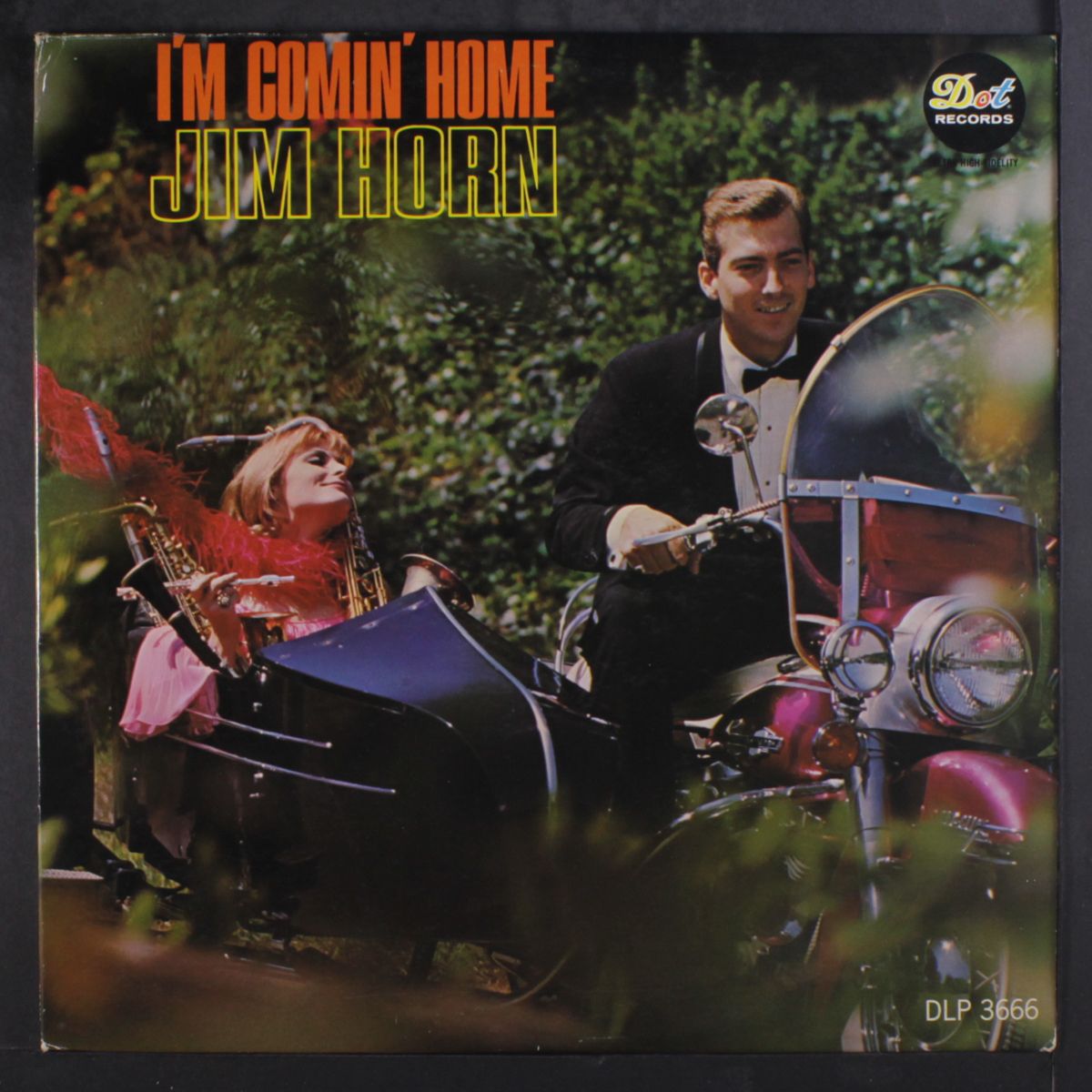 i'm comin' home by JIM HORN