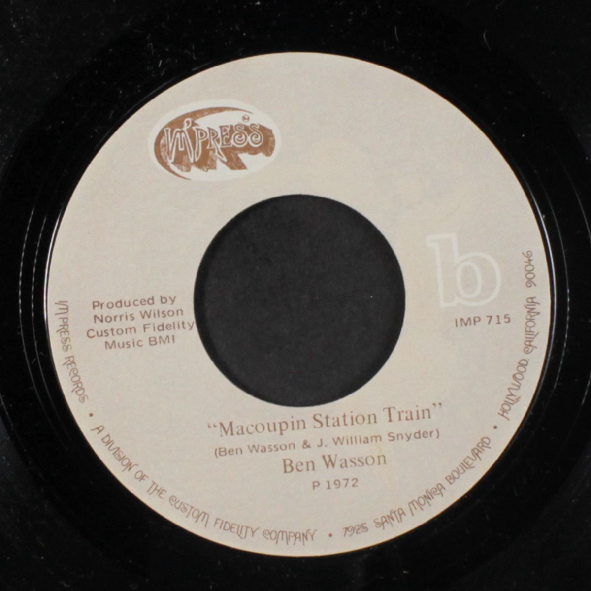 goodbye sunshine / macoupin station train by BEN WASSON