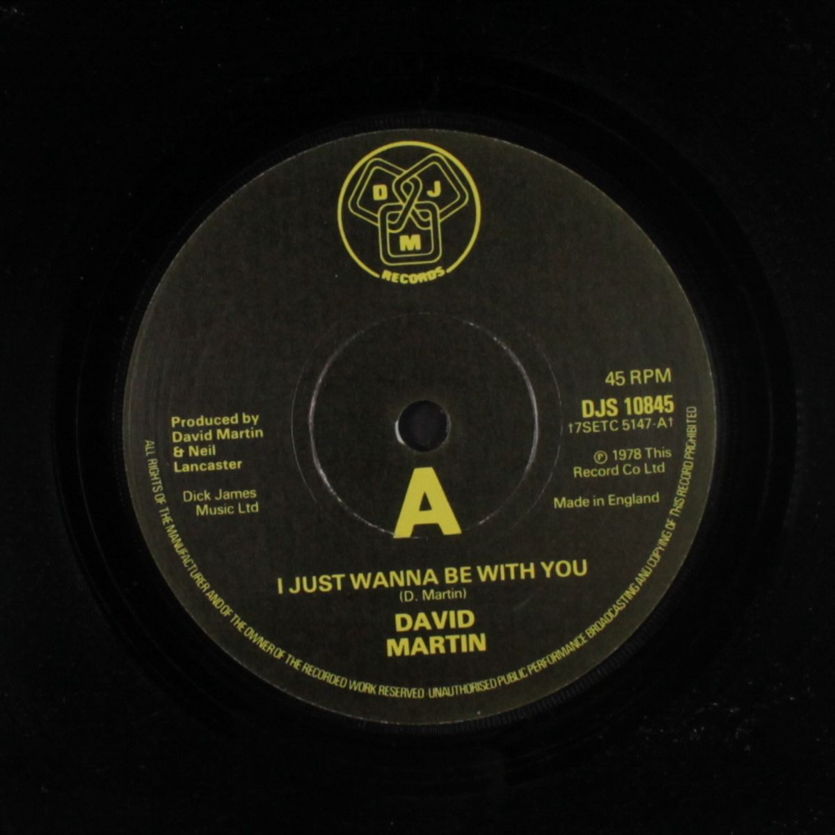 i just wanna be with you / i can't sing songs by DAVID MARTIN