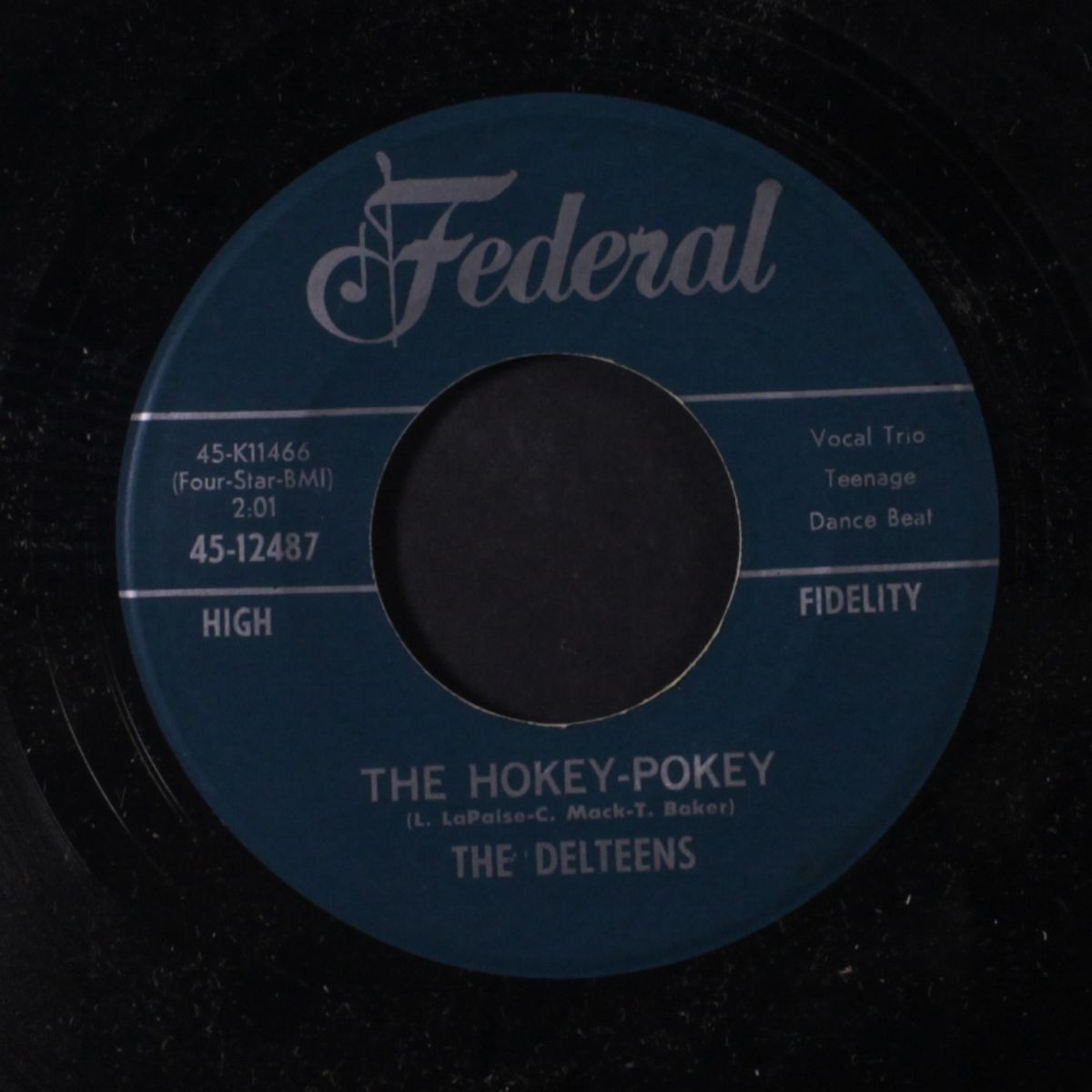 the hokey-pokey / the bunny hop by DELTEENS