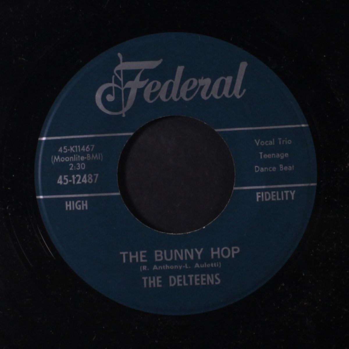 the hokey-pokey / the bunny hop by DELTEENS