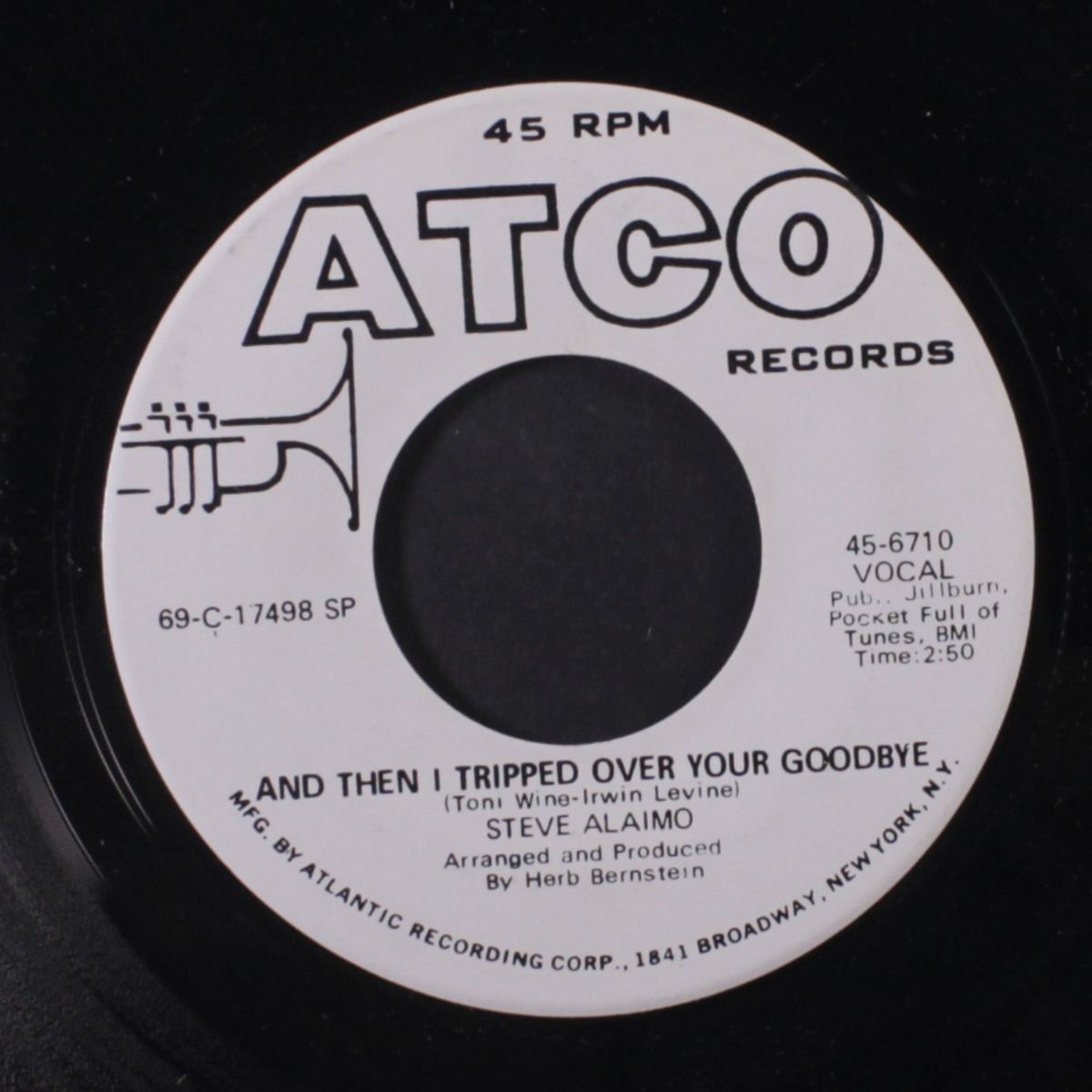 and then i tripped over your goodbye by STEVE ALAIMO