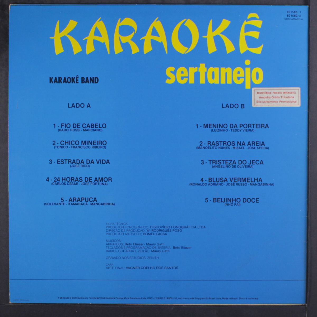 karaoke sertanejo by VARIOUS