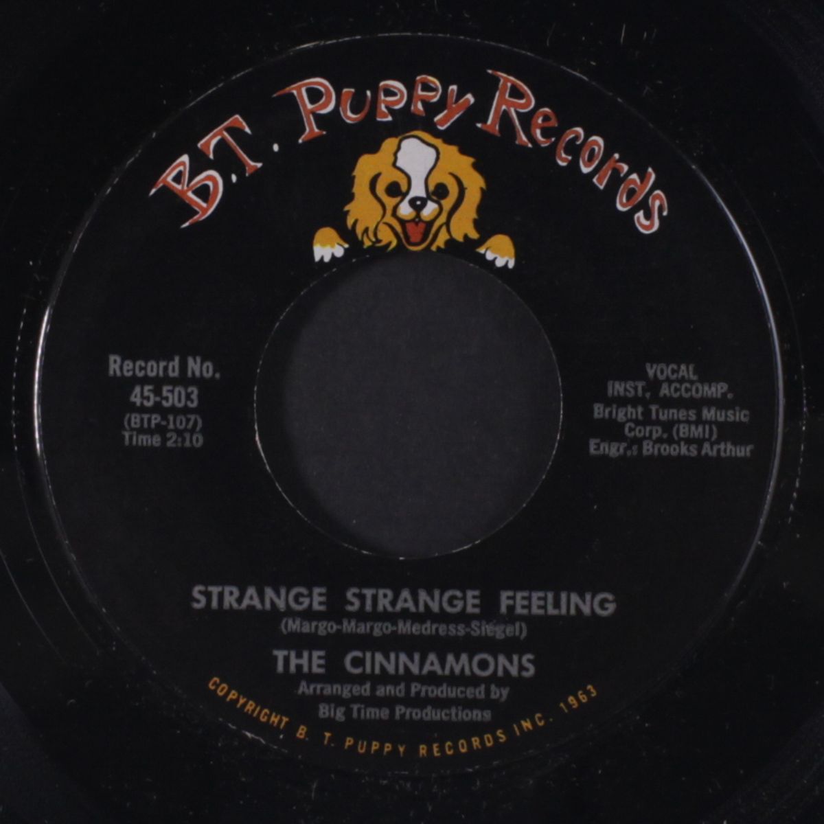strange strange feeling / i'm not gonna worry by CINNAMONS