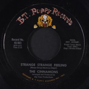 CINNAMONS