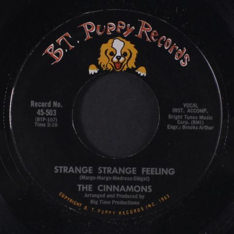 CINNAMONS