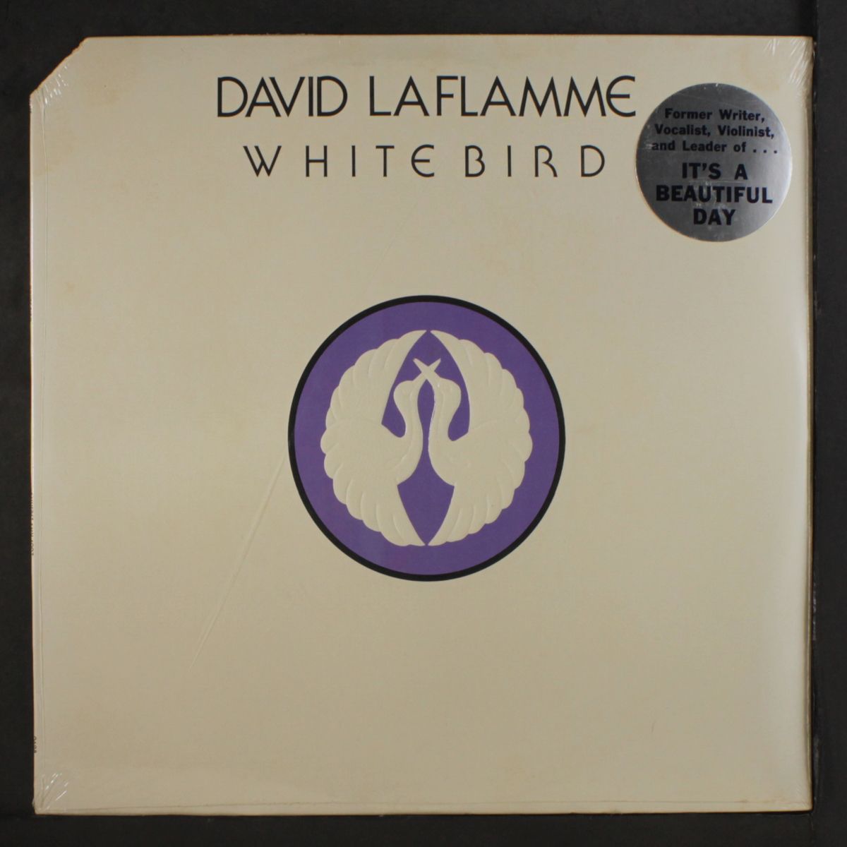 white bird by DAVID LAFLAMME