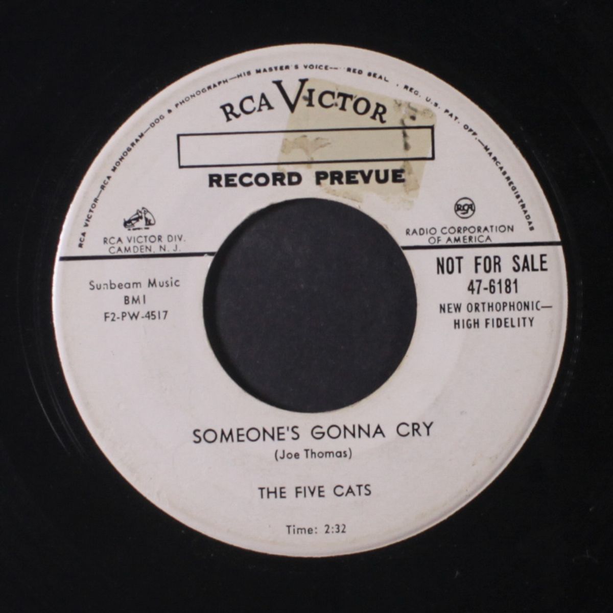 i was so wrong / someone's gonna cry by FIVE CATS