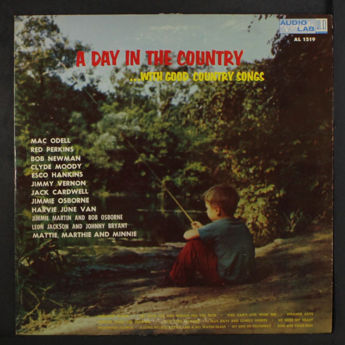 a day in the country by VARIOUS