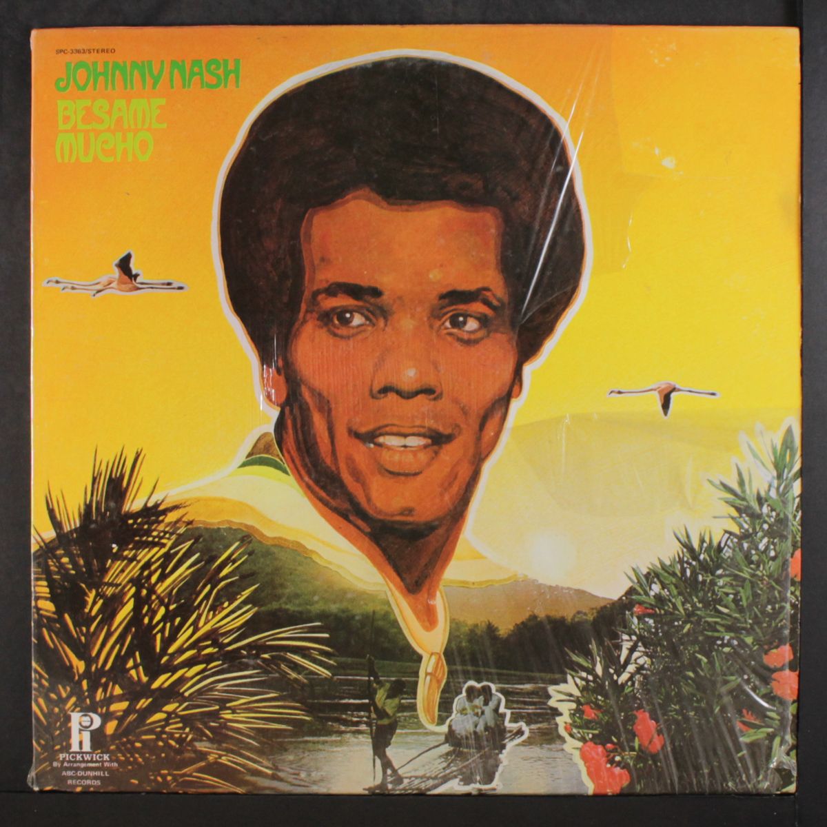 besame mucho by JOHNNY NASH