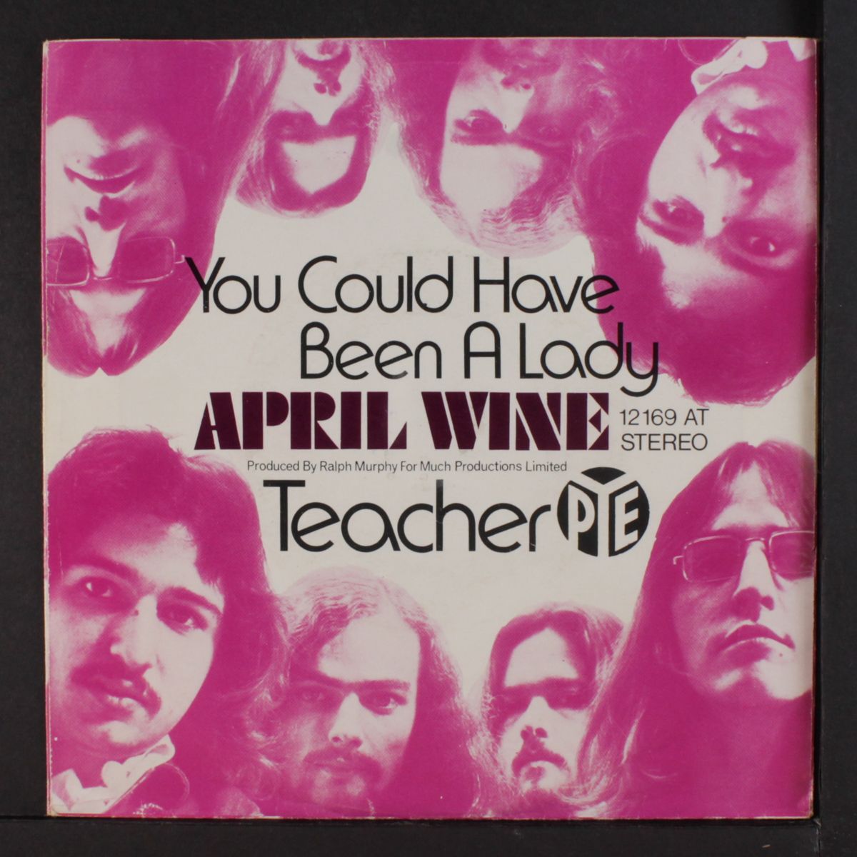you could have been a lady / teacher by APRIL