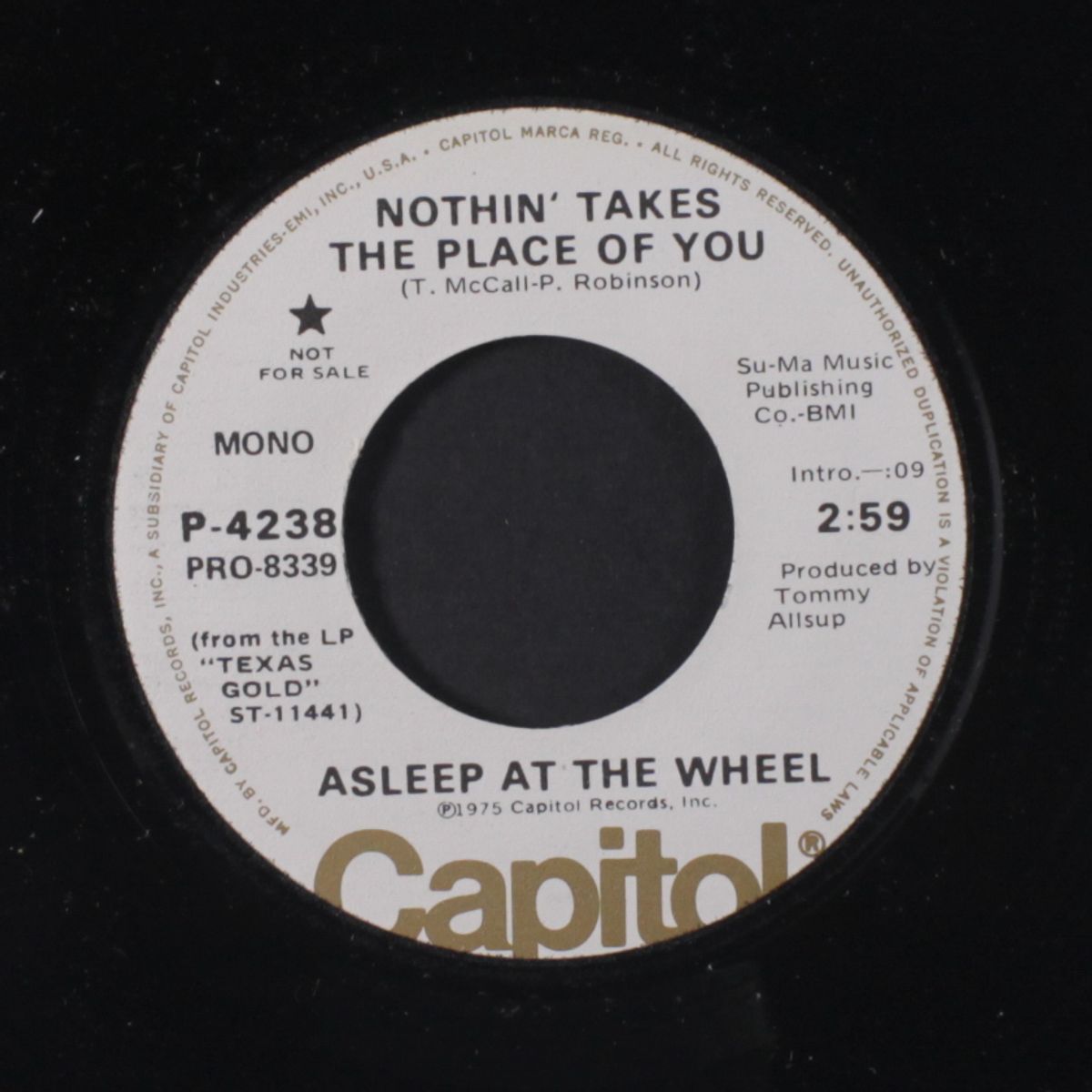 nothin' takes the place of you / mono by ASLEEP AT THE WHEEL