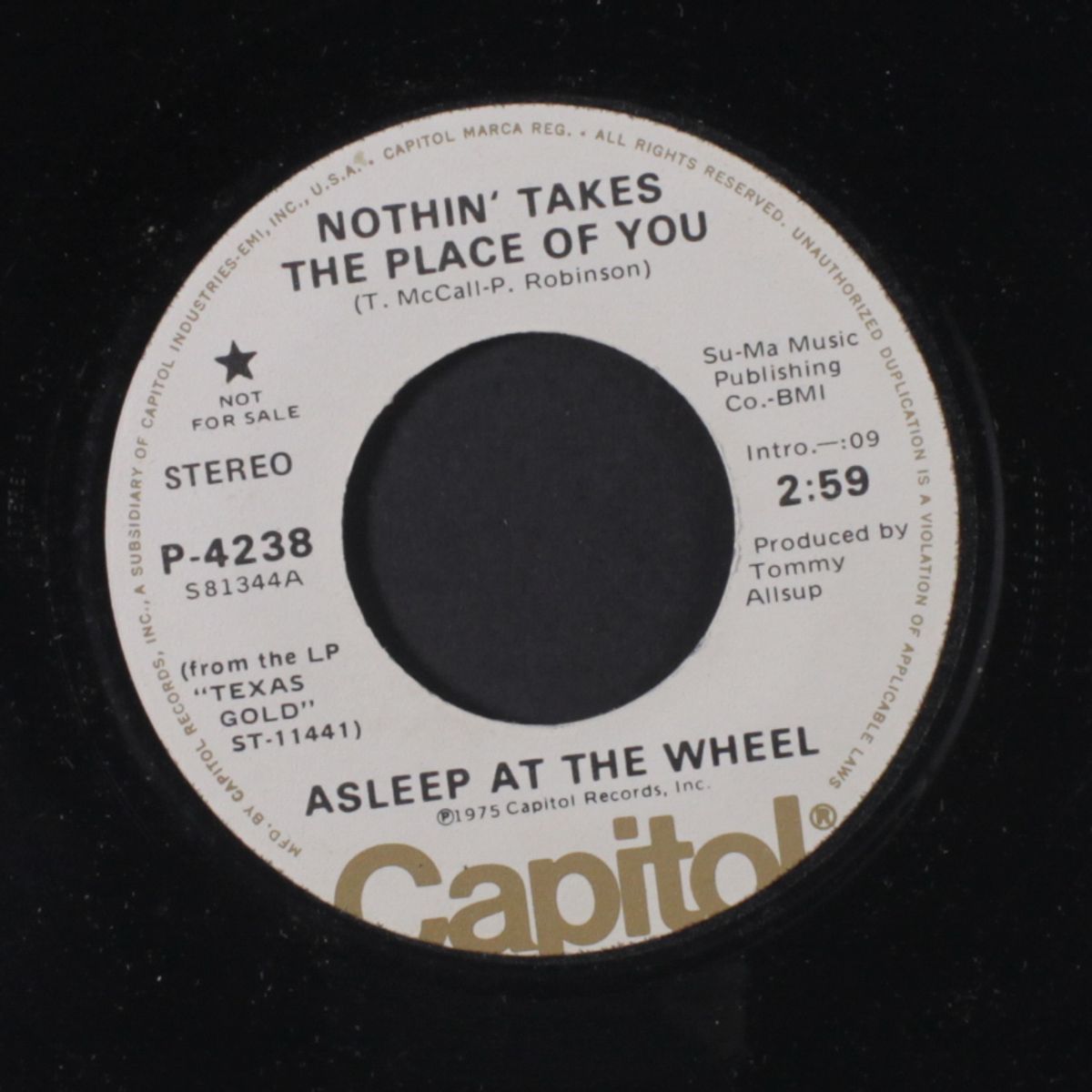 nothin' takes the place of you / mono by ASLEEP AT THE WHEEL