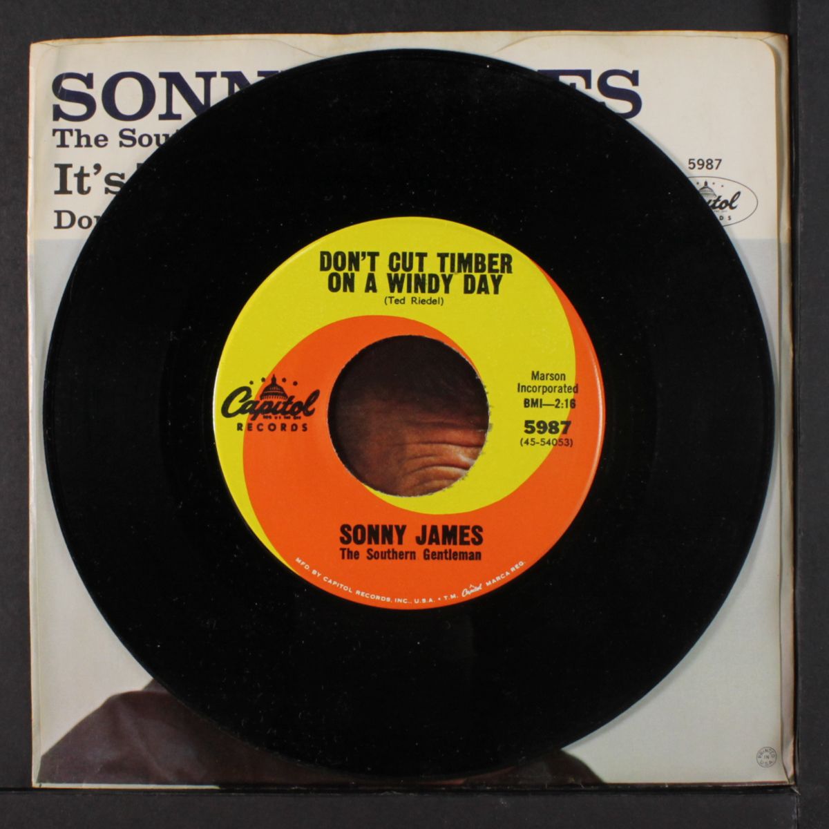 it's the little things / don't cut timber on a windy day by SONNY JAMES