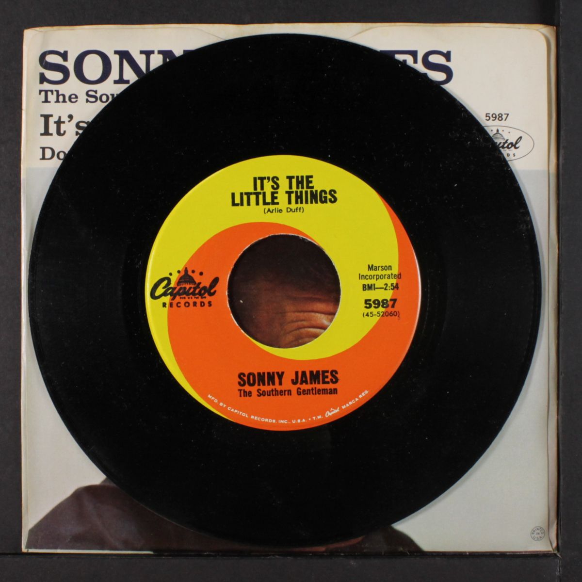 it's the little things / don't cut timber on a windy day by SONNY JAMES