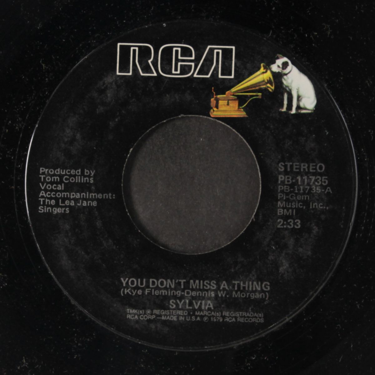 you don't miss a thing by SYLVIA
