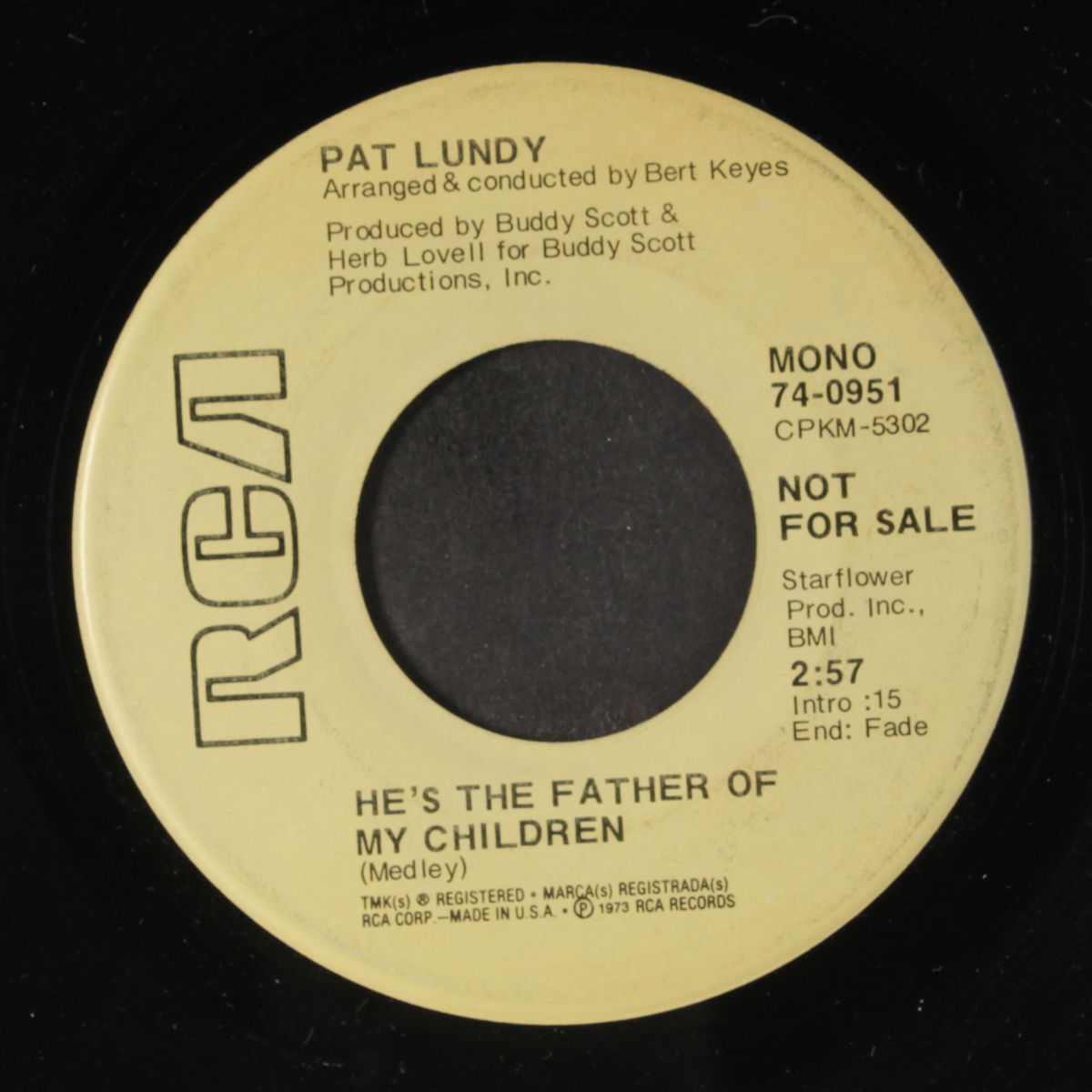thank heaven for you / he's the father of my children by PAT LUNDY