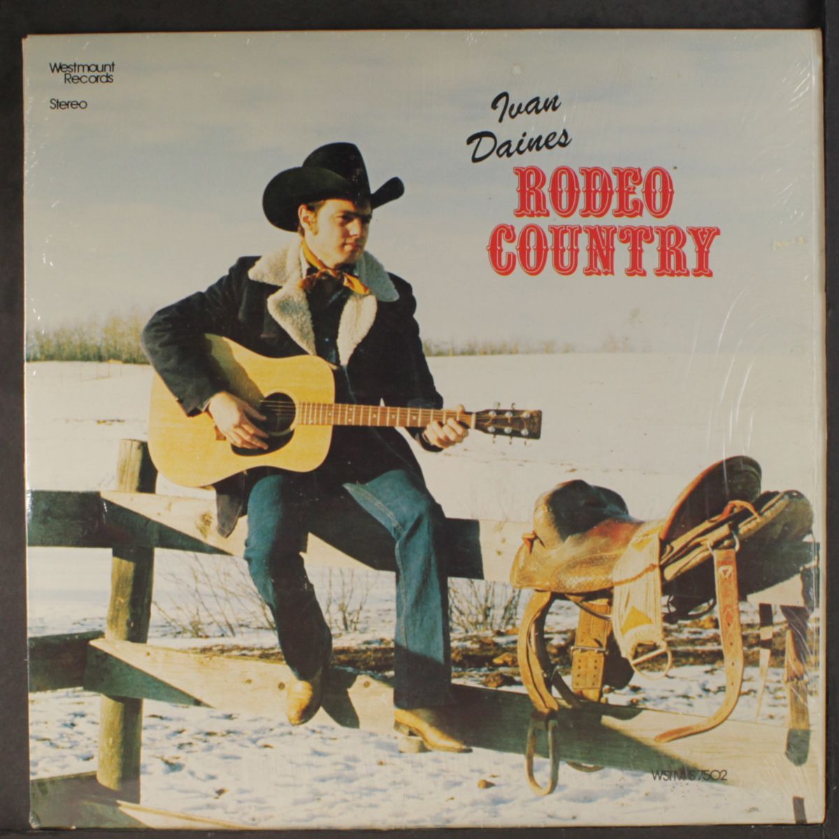 rodeo country by IVAN DAINES