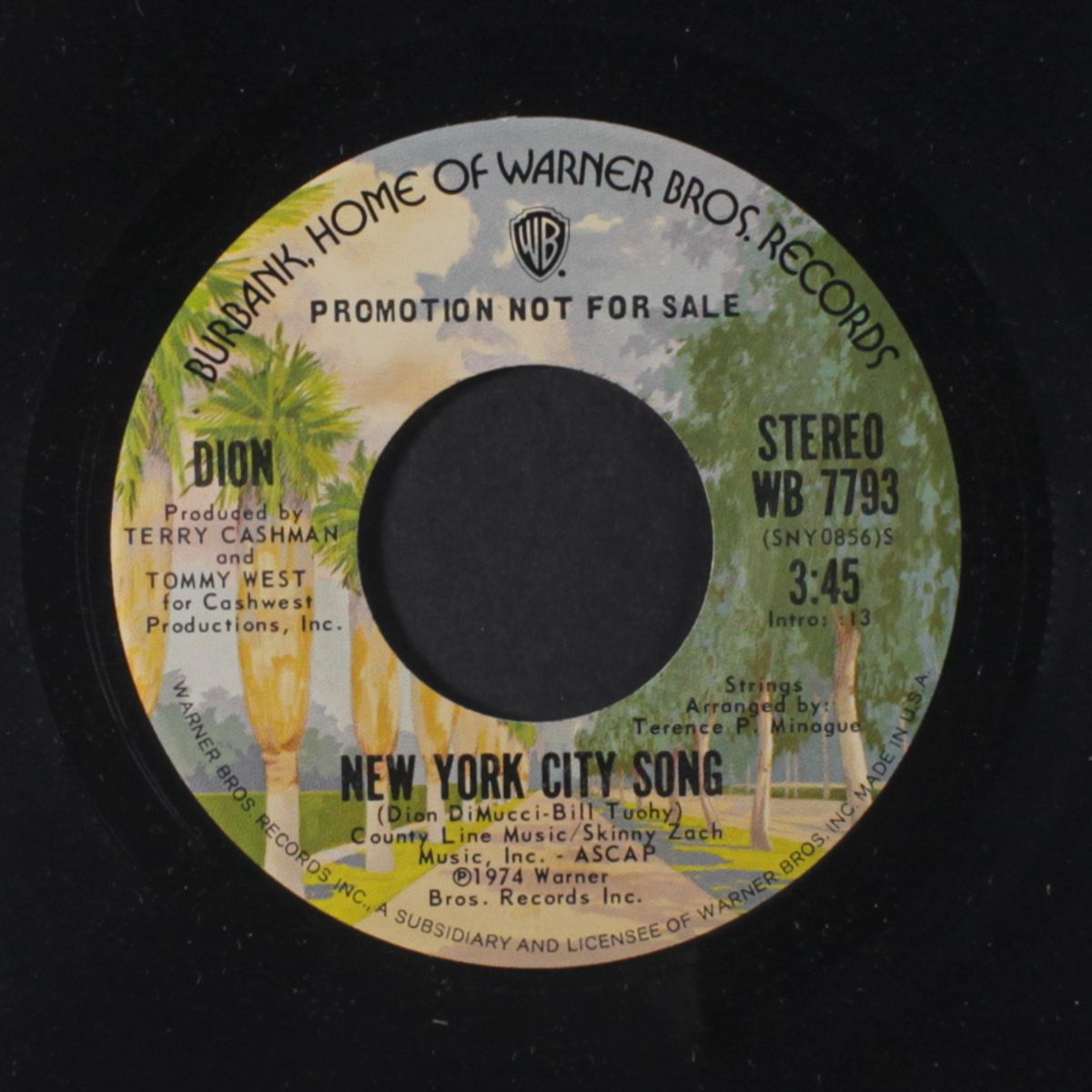 new york city song / mono by DION