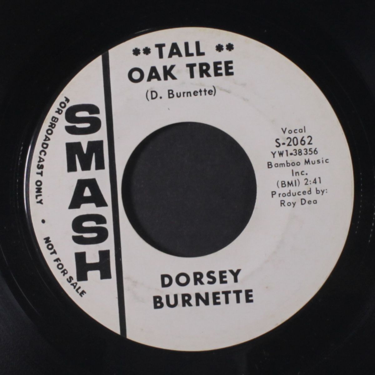 tall oak tree / i just can't be tamed by DORSEY BURNETTE