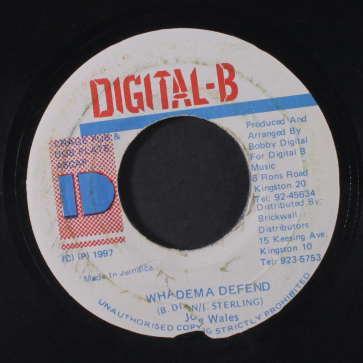 wha dem a defend / version by JOSIE WALES