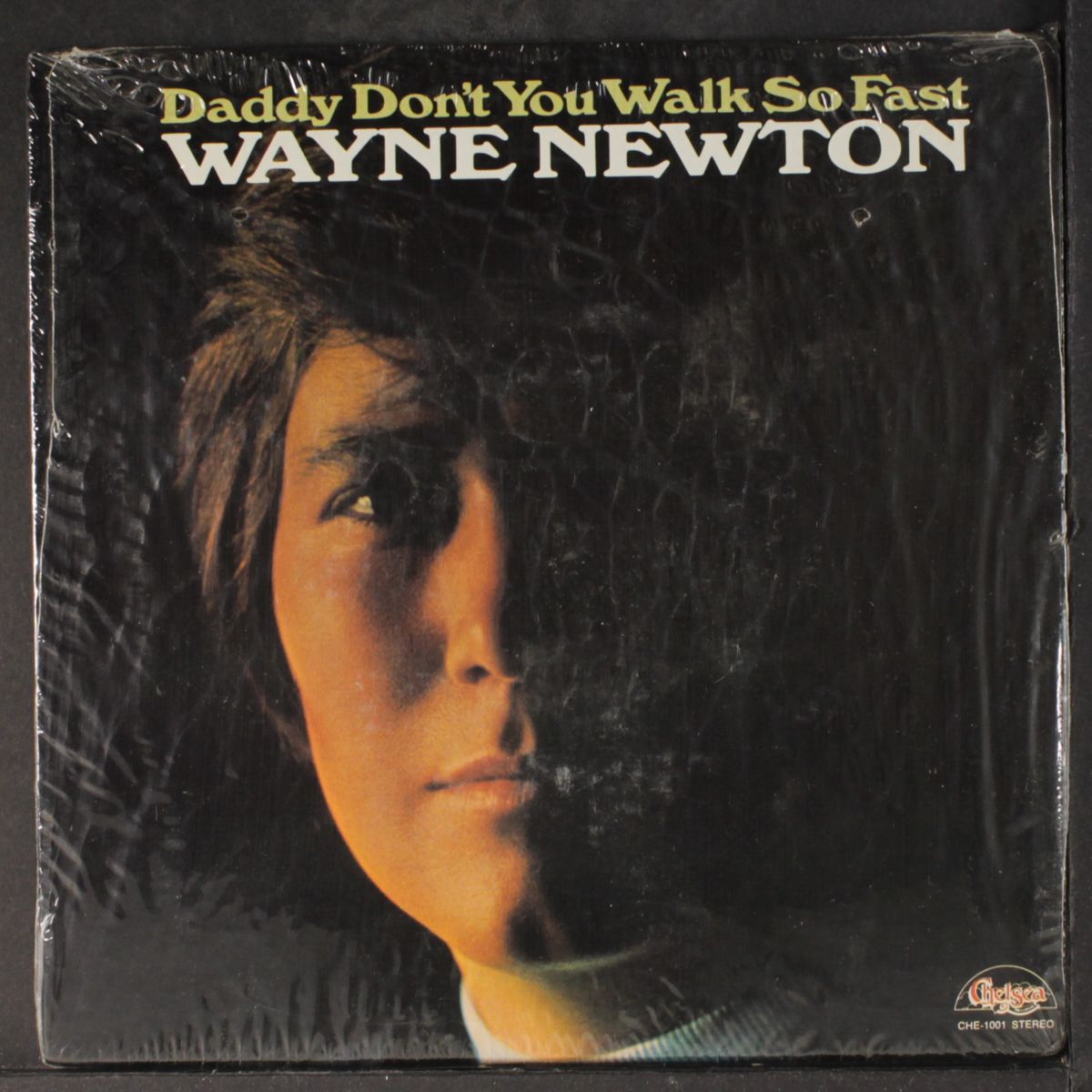 daddy don't you walk so fast by WAYNE NEWTON