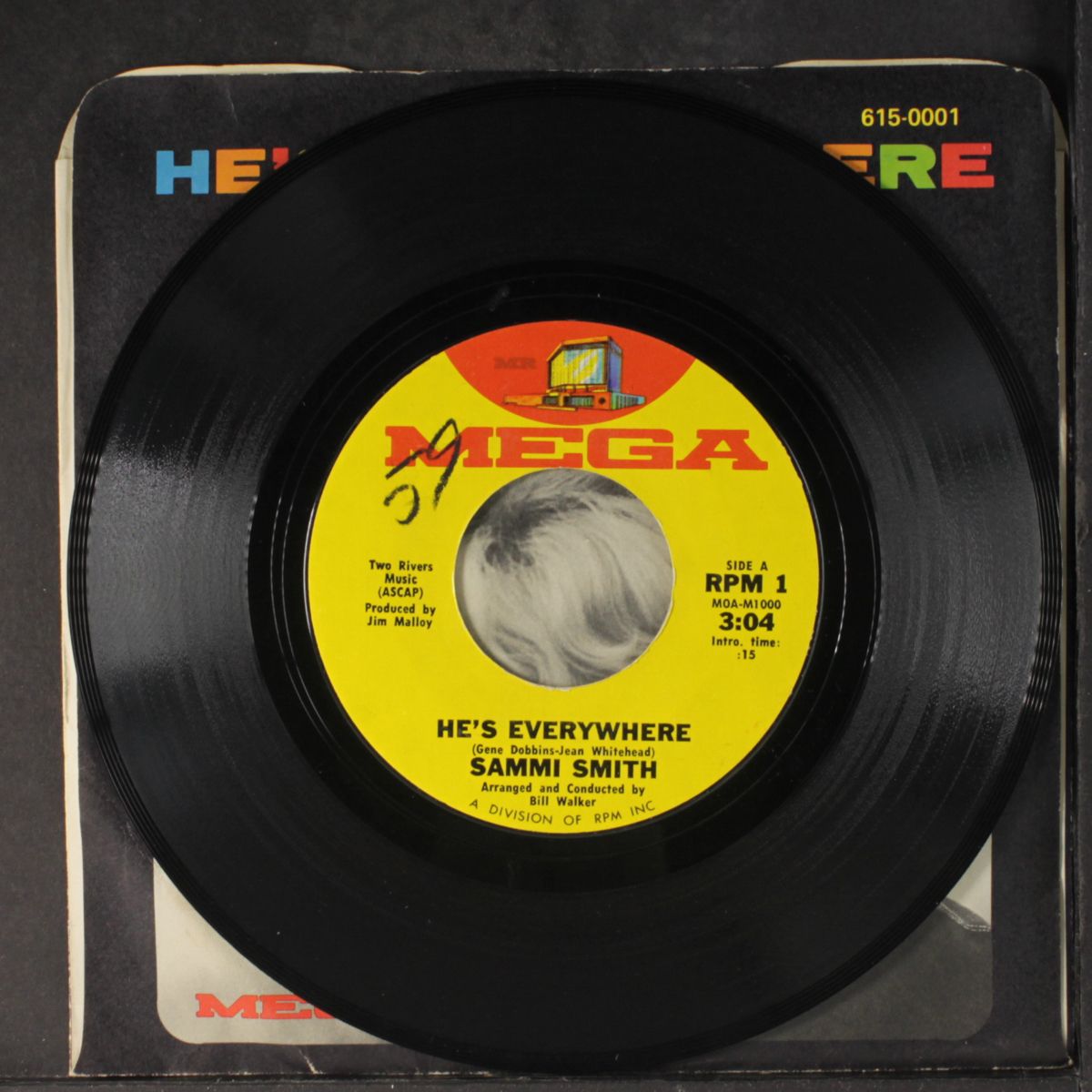 he's everywhere / this room for rent by SAMMI SMITH