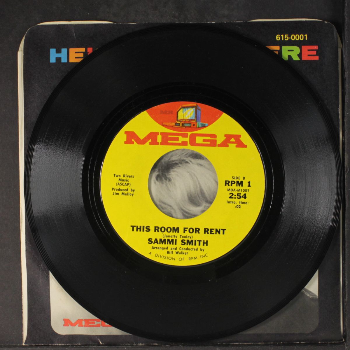 he's everywhere / this room for rent by SAMMI SMITH
