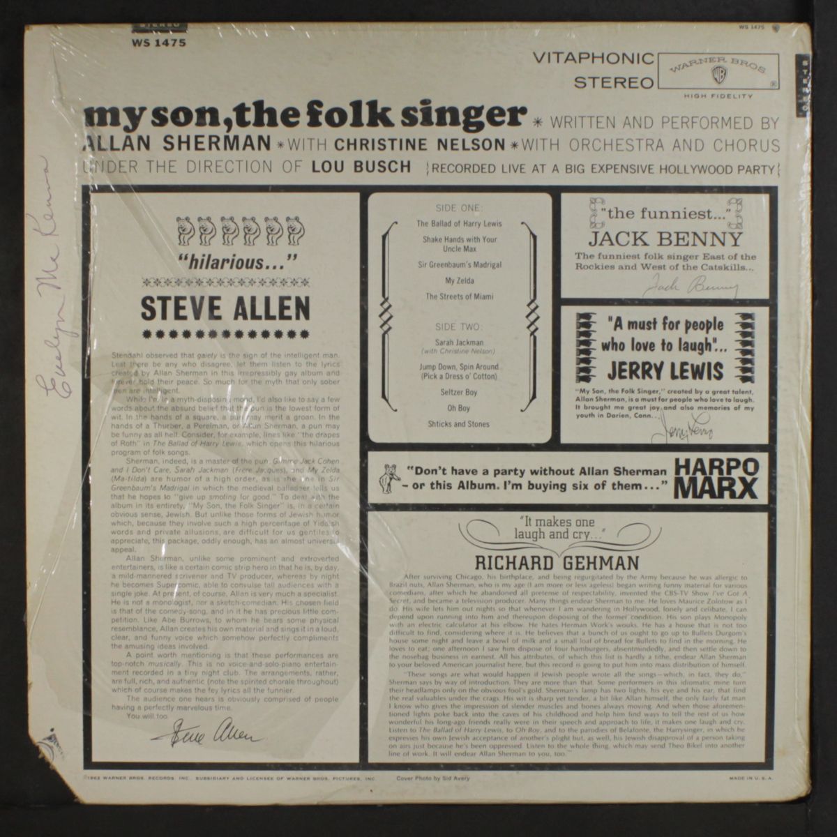 my son, the folk singer by ALLAN SHERMAN