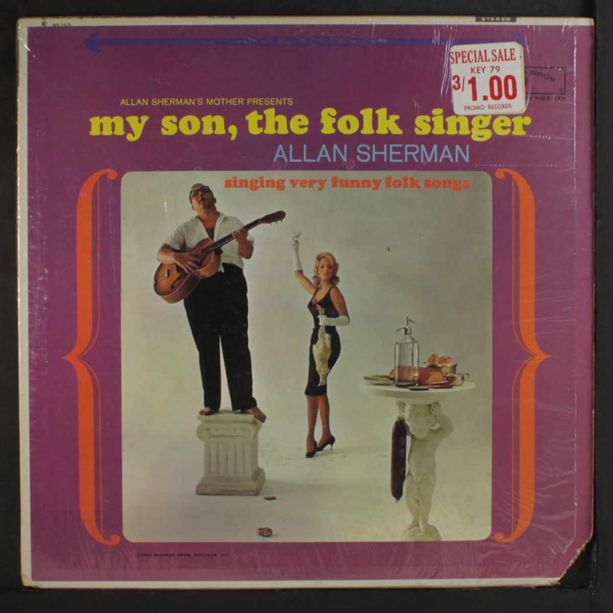 my son, the folk singer by ALLAN SHERMAN