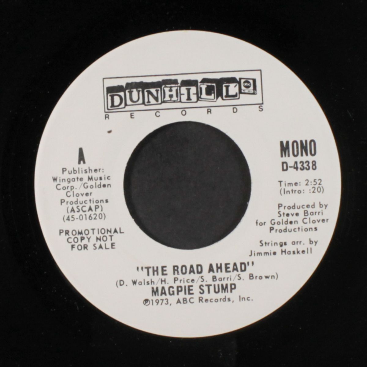 the road ahead / mono by MAGPIE STUMP