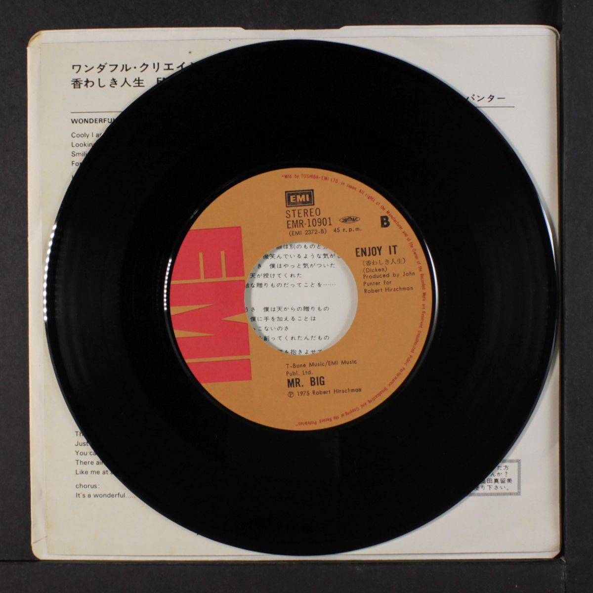 wonderful creation / enjoy it by MR. BIG