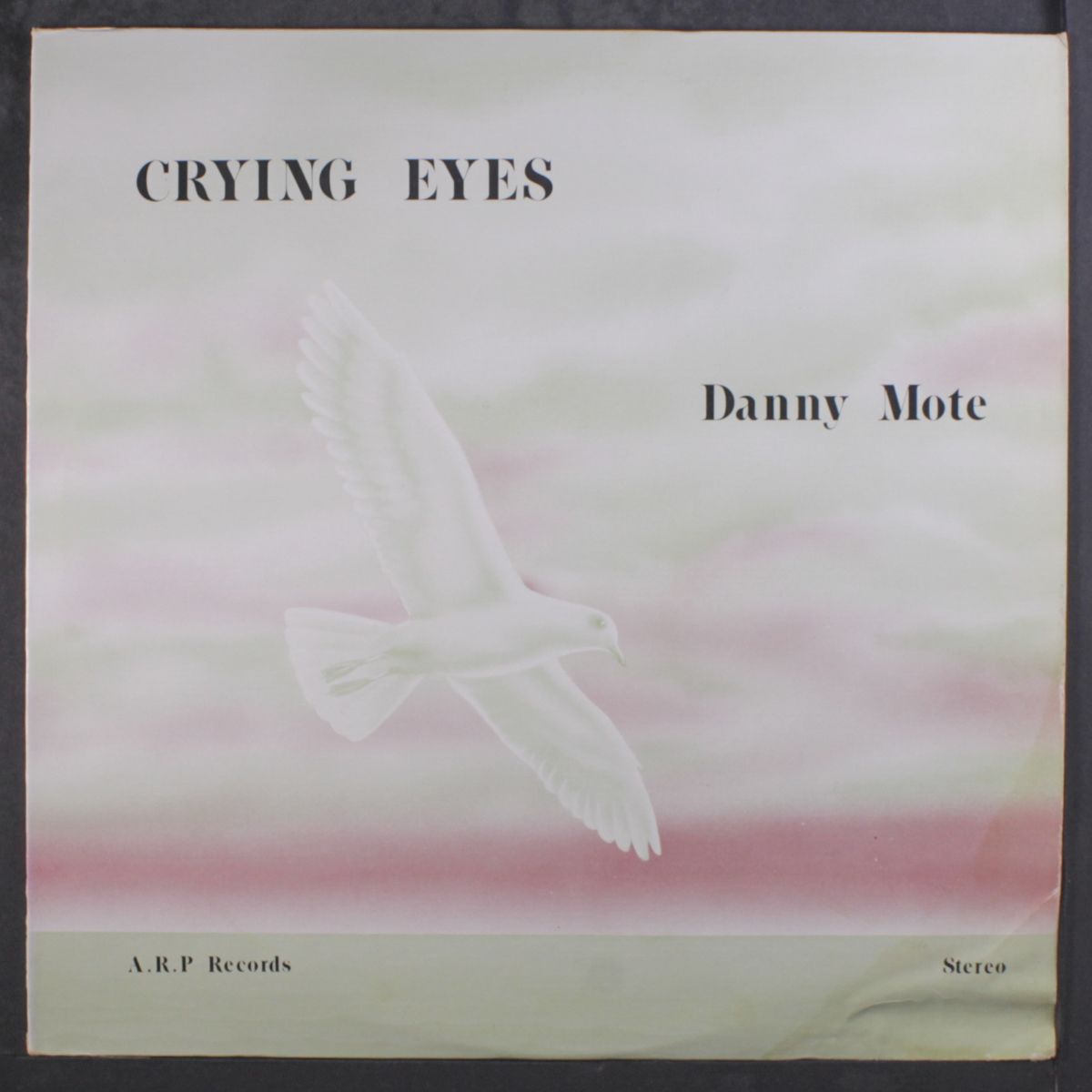 crying eyes by DANNY MOTE