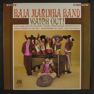 BAJA MARIMBA BAND