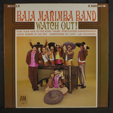 BAJA MARIMBA BAND