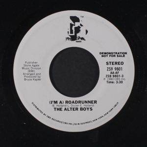 ALTER BOYS