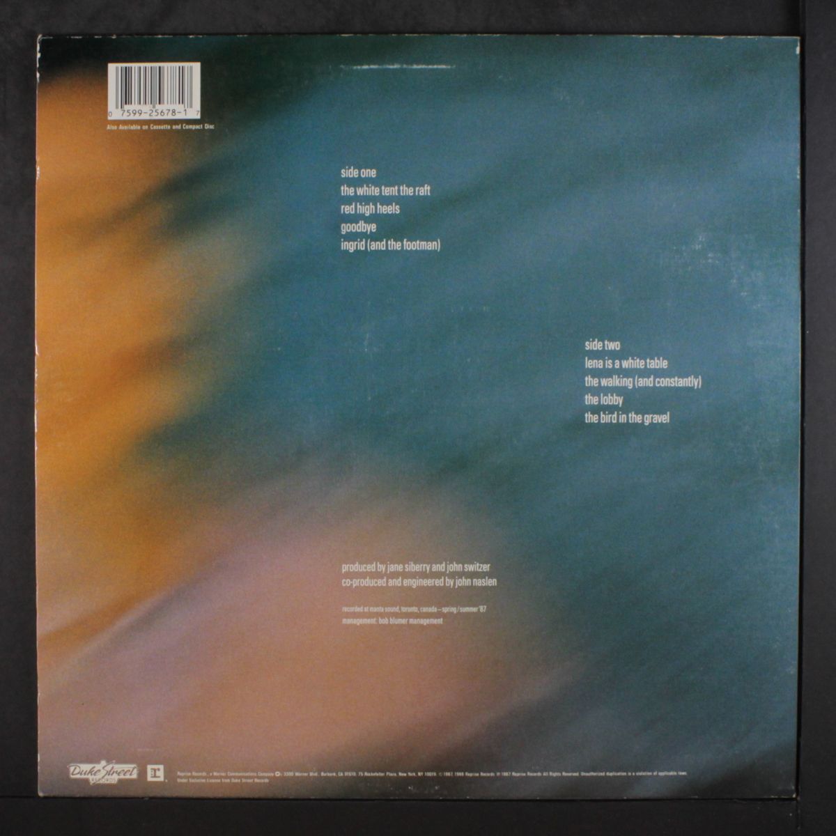 the walking by JANE SIBERRY