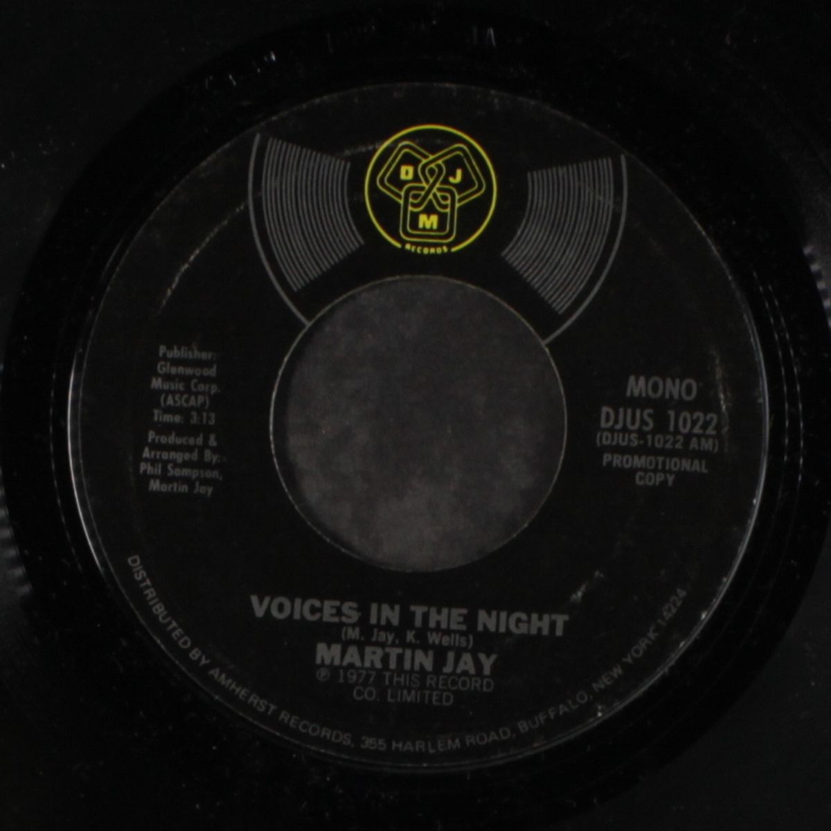 voices in the night by JAY