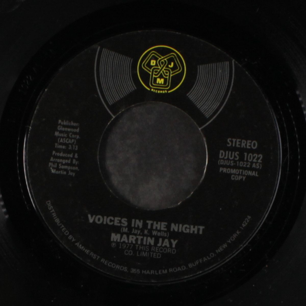 voices in the night by JAY
