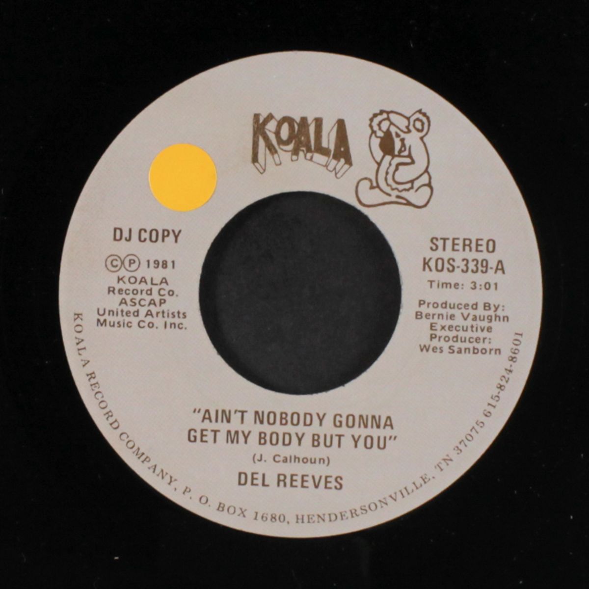 ain't nobody gonna get my body but you by DEL REEVES