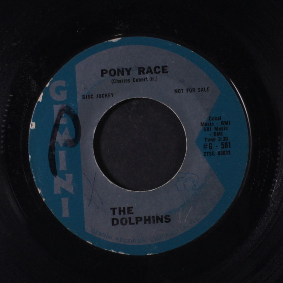 dance / pony race by DOLPHINS
