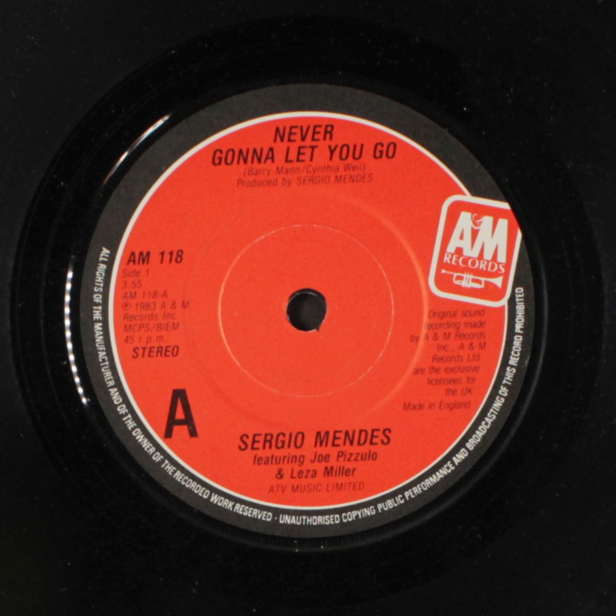 never gonna let you go / carnaval by SERGIO MENDES