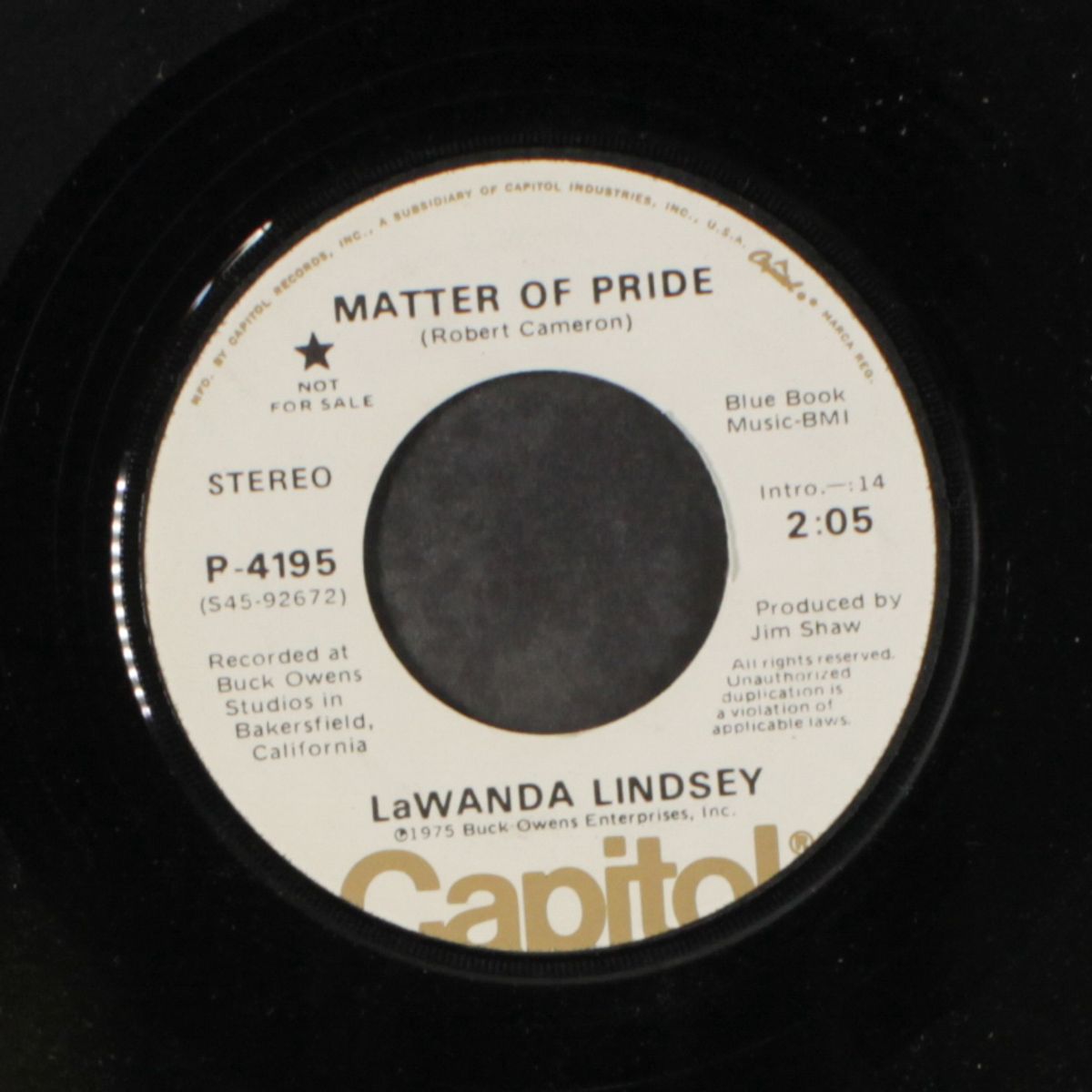 matter of pride by LINDSEY