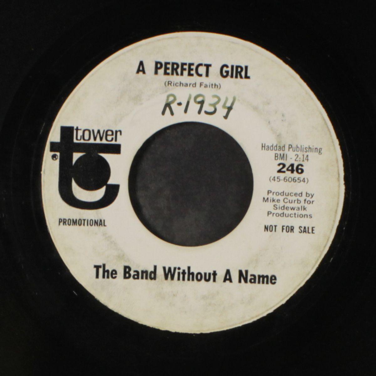 turn on your lovelight / perfect girl by BAND WITHOUT A NAME